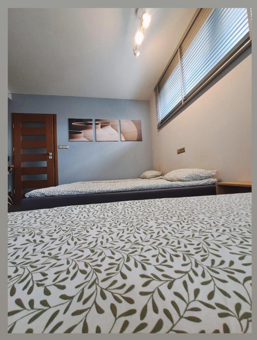 פלוק Apartament Studio Piano מראה חיצוני תמונה